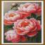 Lush peonies