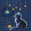 Kitten and Starry Milk