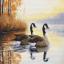 Autumn Reflections - Needlepoint
