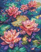 Water Lily
