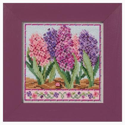 Spring Series - Hyacinths