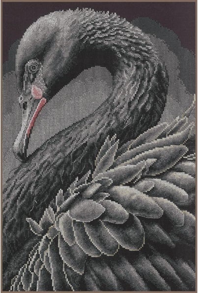 Black swan