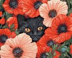 Poppy Eyes