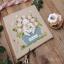 Wild Roses