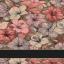 Kitchen towel - Maui - Rainbow Red