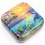 Dolphin's Paradise Tin Box