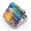 Dolphin's Paradise Tin Box
