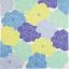 Hime - Musubi Adeline Klam - Peony Blue