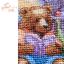 A beartastic holiday
