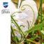 Deco heart - Lilly of the Valley