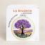 Jacaranda sur la plaine