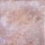 36ct Linen - Pumpkin Patch
