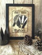 Badger - Spirits Of The Woods
