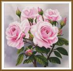 Moments of tenderness