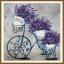 Aroma of Provence