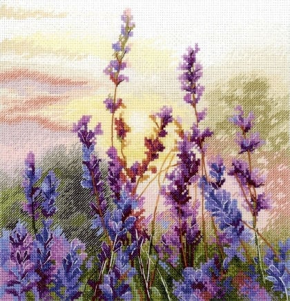 Blooming Lavender