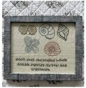 Sampler Of Shells