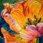 Spring Awakening: Radiance