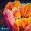 Spring Awakening: Freshness