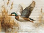 Golden Flight - Needlepoint