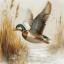 Golden Flight - Needlepoint