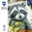 Cushion - Raccoon