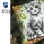 Cushion - Kitten