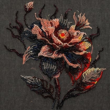 Flower of the night