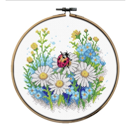 Ladybug