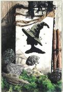 Mushrooms Witch