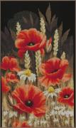 Wild poppies