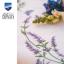 Tablecloth - Lavender and butterflies