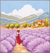 Lavender landscape in Provence
