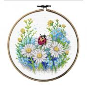 Ladybug