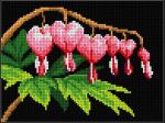 Bleeding Heart