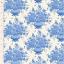 Afina Blue