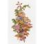 Autumn Berries (Olga Ionaitis)