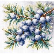 A sprig of juniper