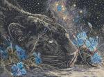 Starry Dreams