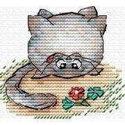 Pet