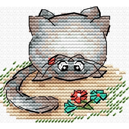 Pet