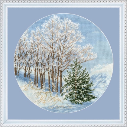 Snow-Silvered Branches
