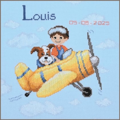 Airplane with boy and dog