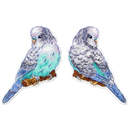 Budgie