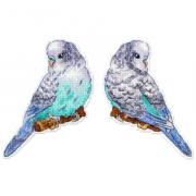 Budgie