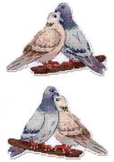 Dove and Turtledove