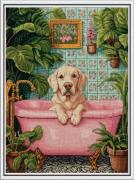 Water Treatments