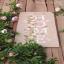 Wild Roses Home