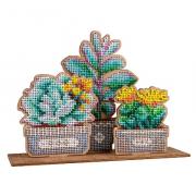 Succulent Garden