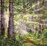 Sunny Forest